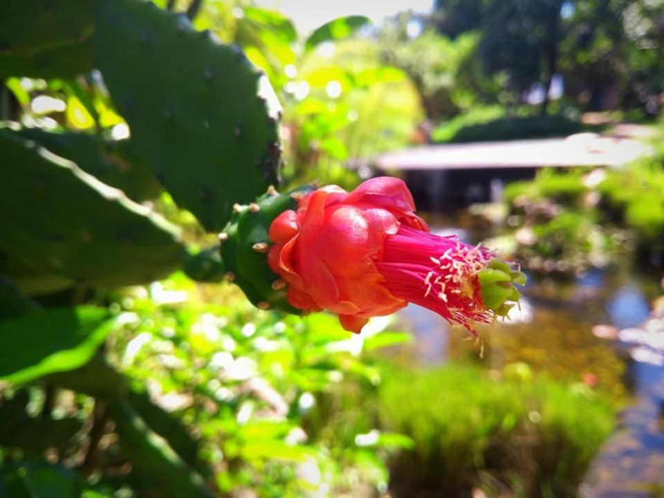 Pousada Paralelo 14 Alto Paraiso de Goias Exterior photo